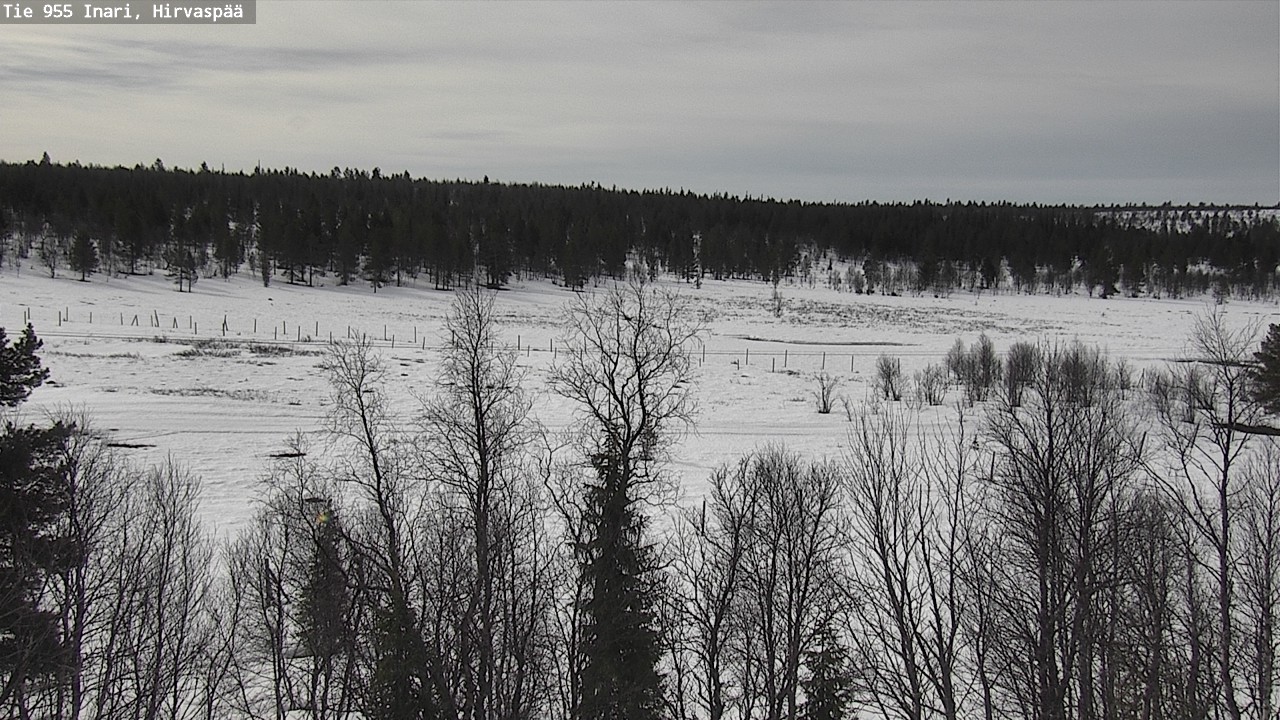 Weather Camera Image Väg 955 Enare, Hirvaspää, Inari, Lappi