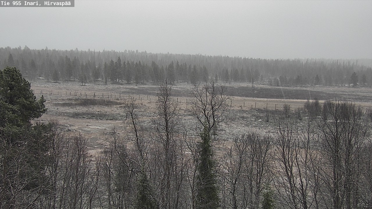 Kelikamerat Kuva Tie 955 Inari, Hirvaspää, Inari, Lappi