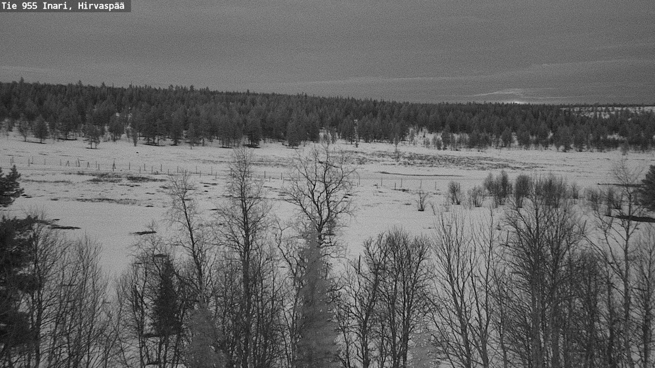 Weather Camera Image Road 955 Inari, Hirvaspää, Inari, Lappi