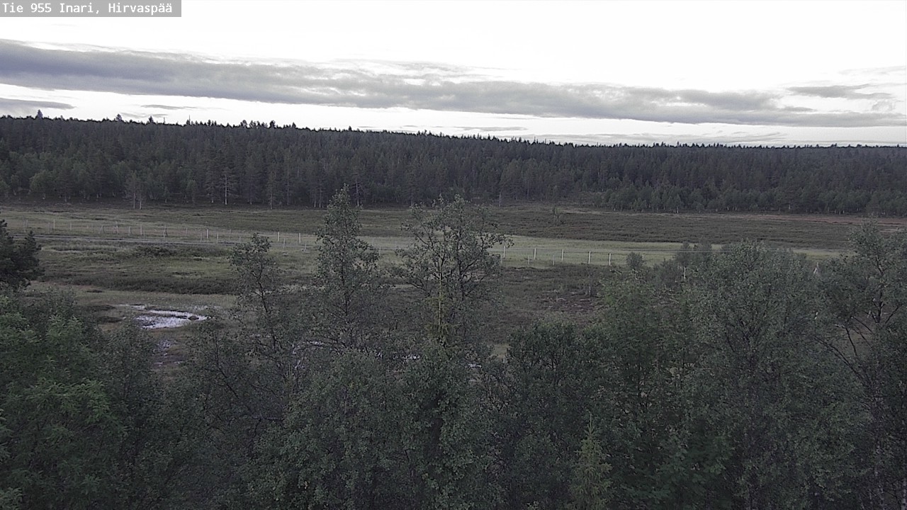Kelikamerat Kuva Tie 955 Inari, Hirvaspää, Inari, Lappi