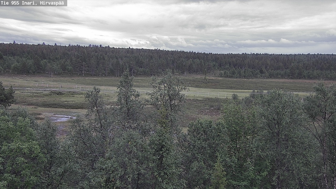 Kelikamerat Kuva Tie 955 Inari, Hirvaspää, Inari, Lappi