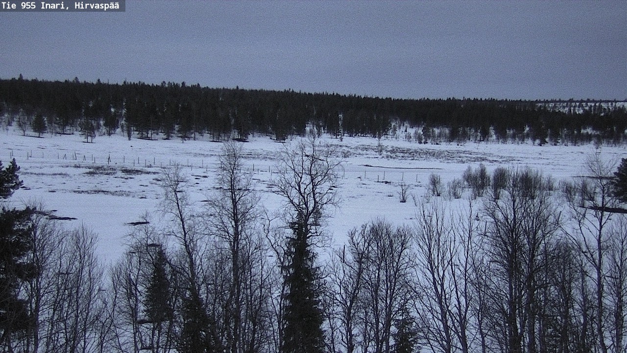 Weather Camera Image Road 955 Inari, Hirvaspää, Inari, Lappi