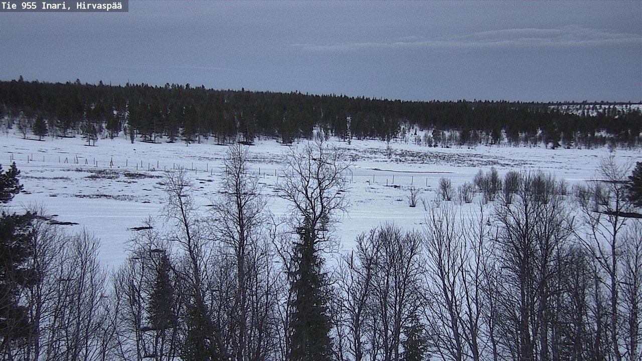 Weather Camera Image Road 955 Inari, Hirvaspää, Inari, Lappi