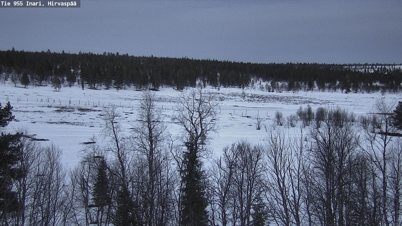 Weather Camera Image Road 955 Inari, Hirvaspää, Inari, Lappi