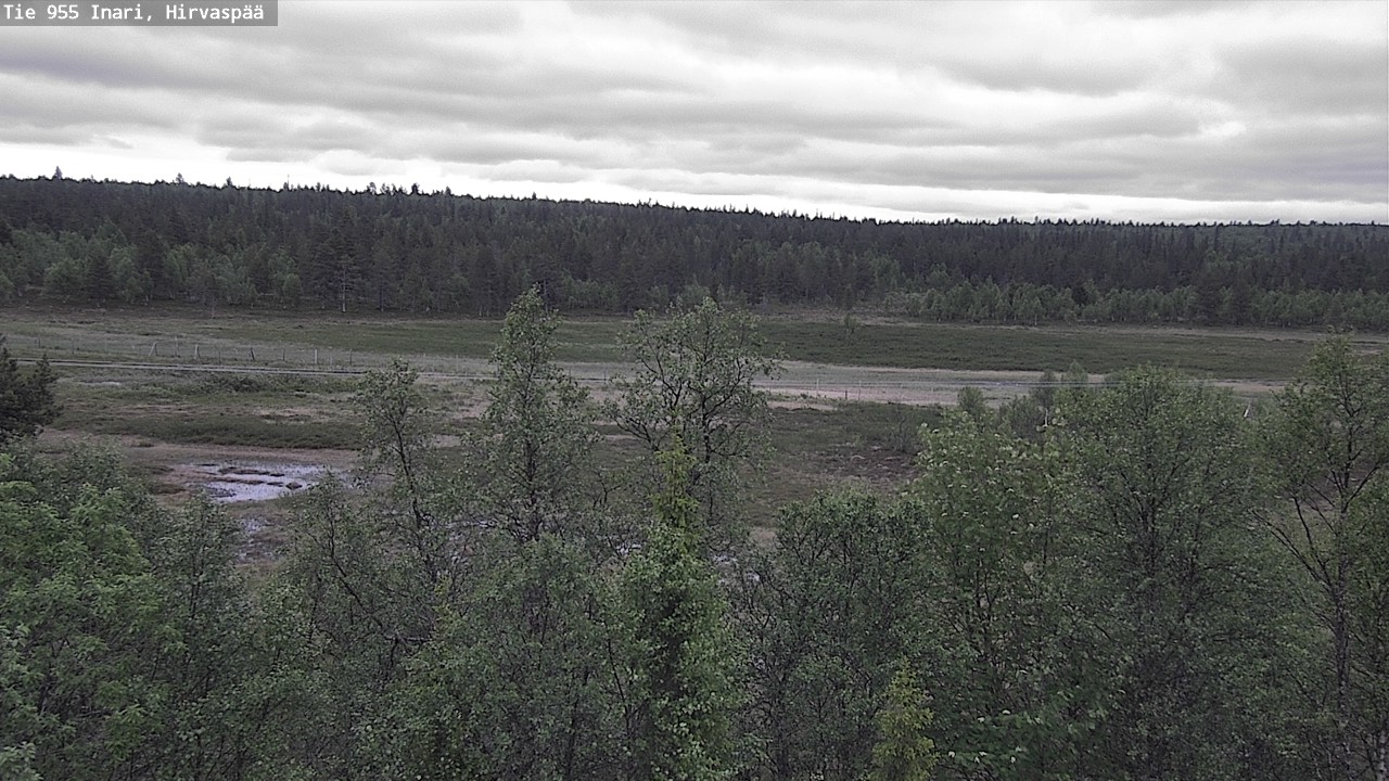 Kelikamerat Kuva Tie 955 Inari, Hirvaspää, Inari, Lappi