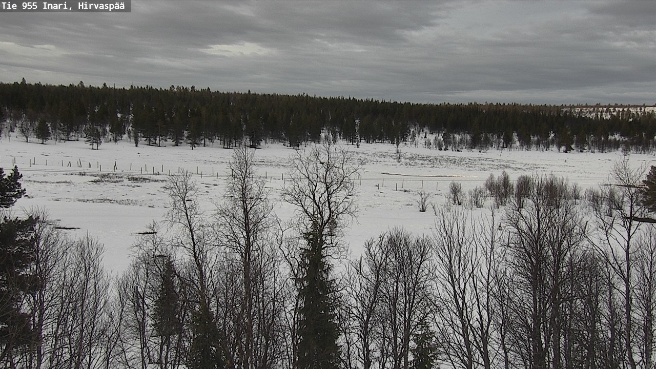 Weather Camera Image Väg 955 Enare, Hirvaspää, Inari, Lappi