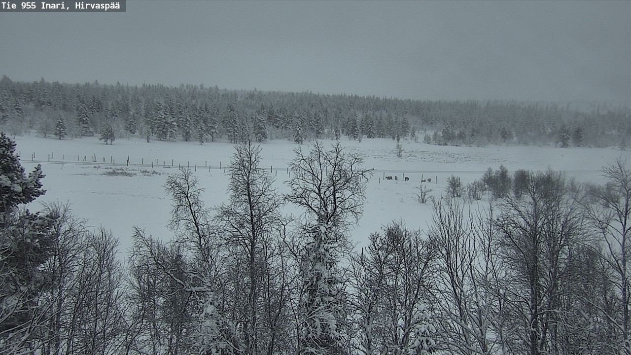 Kelikamerat Kuva Tie 955 Inari, Hirvaspää, Inari, Lappi