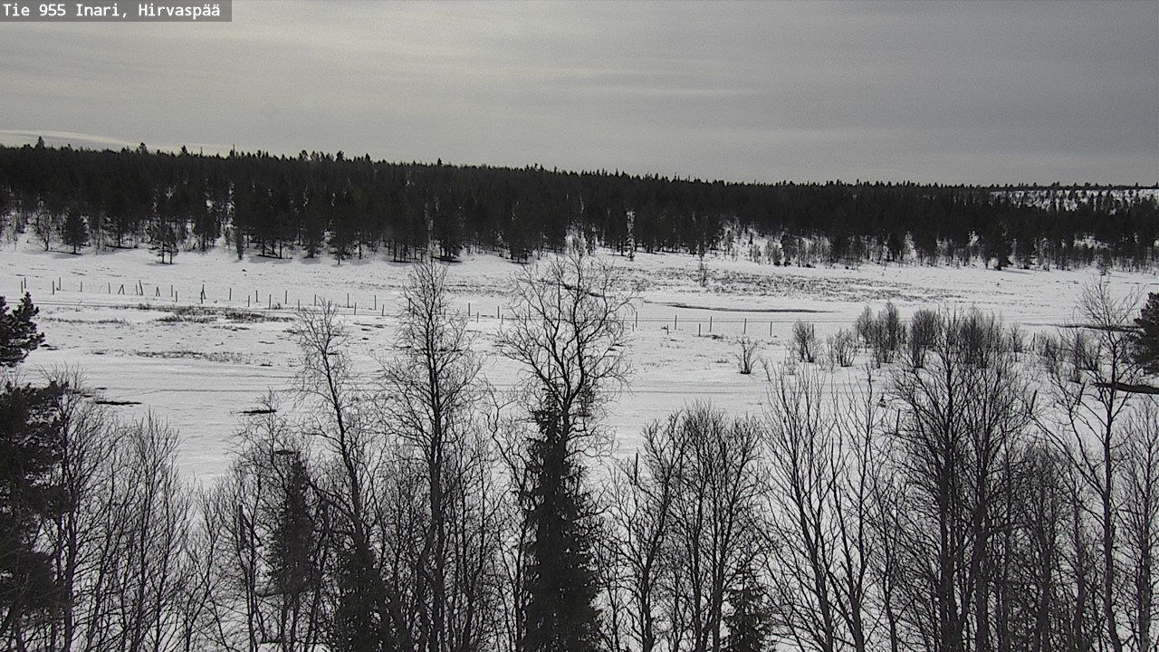 Weather Camera Image Väg 955 Enare, Hirvaspää, Inari, Lappi