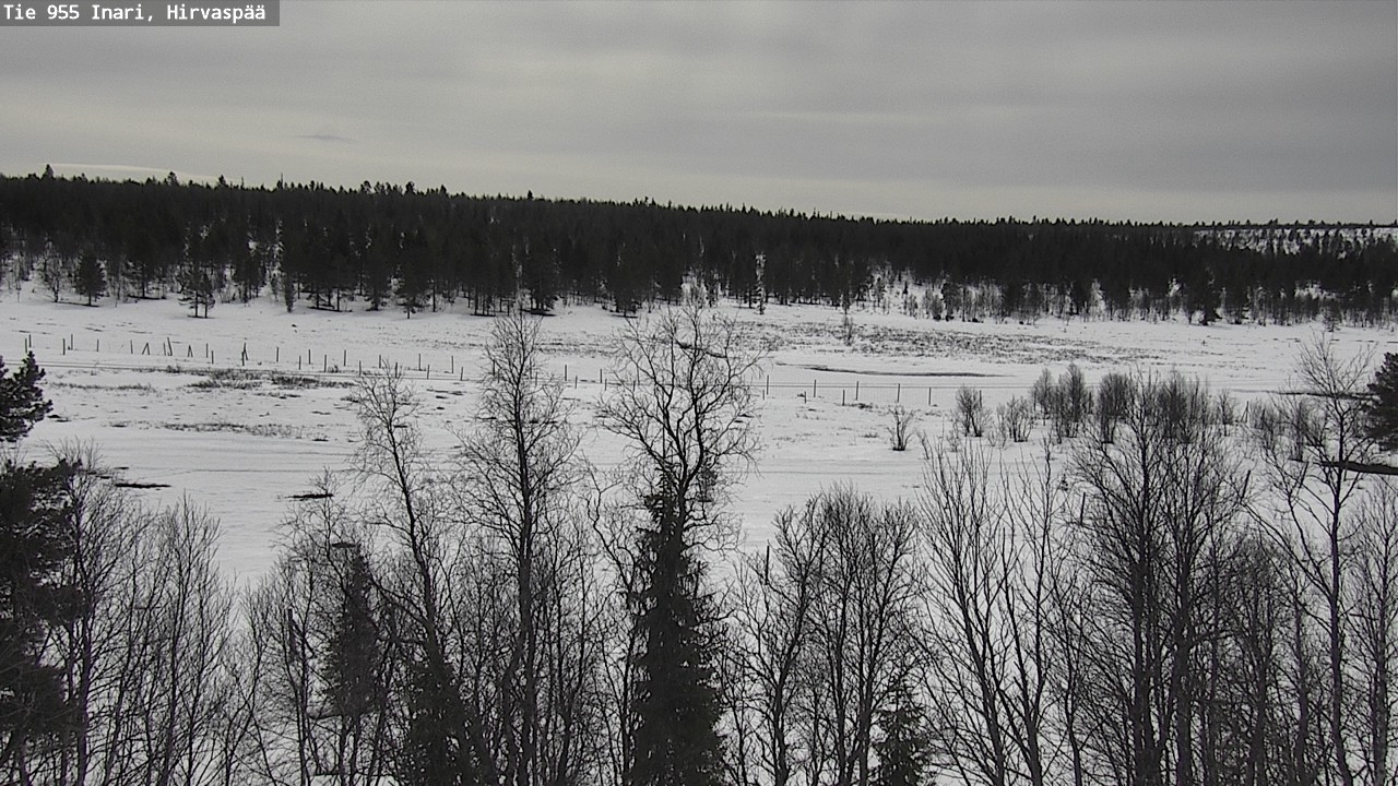 Weather Camera Image Väg 955 Enare, Hirvaspää, Inari, Lappi