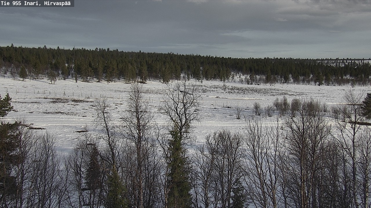 Weather Camera Image Väg 955 Enare, Hirvaspää, Inari, Lappi