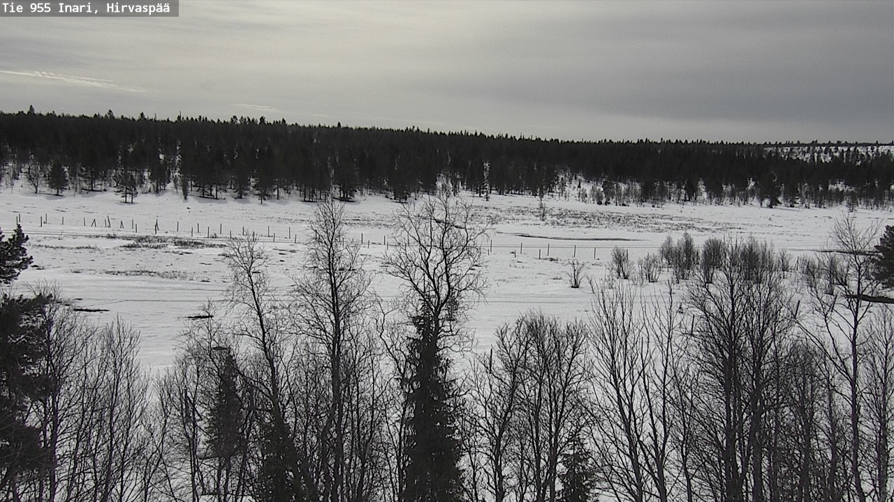 Weather Camera Image Väg 955 Enare, Hirvaspää, Inari, Lappi