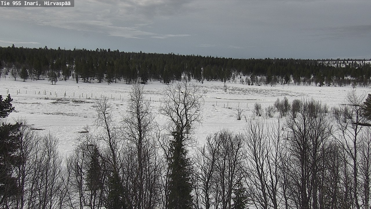 Weather Camera Image Väg 955 Enare, Hirvaspää, Inari, Lappi