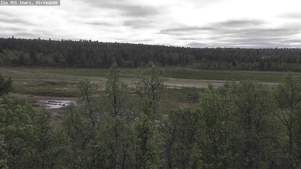 Kelikamerat Kuva Tie 955 Inari, Hirvaspää, Inari, Lappi
