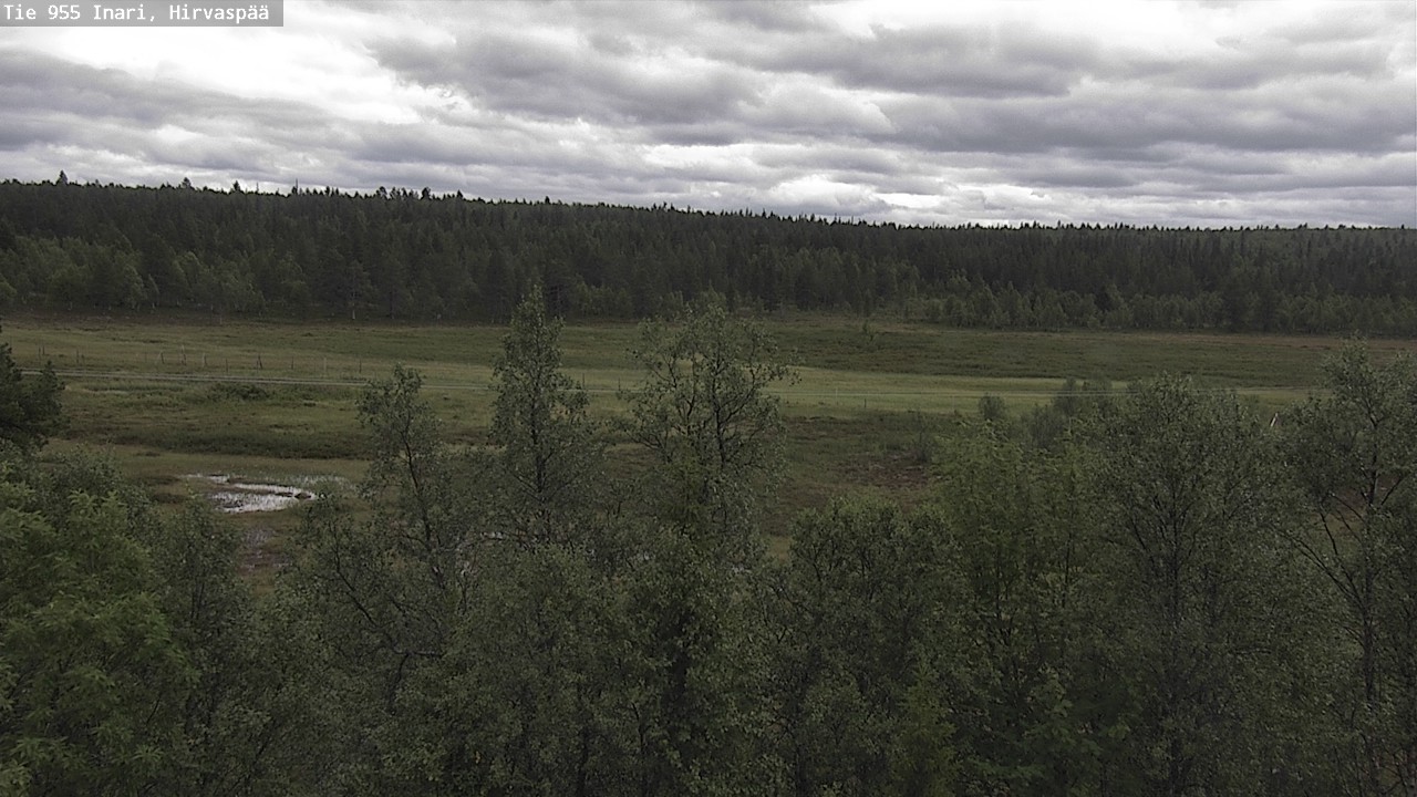 Kelikamerat Kuva Tie 955 Inari, Hirvaspää, Inari, Lappi