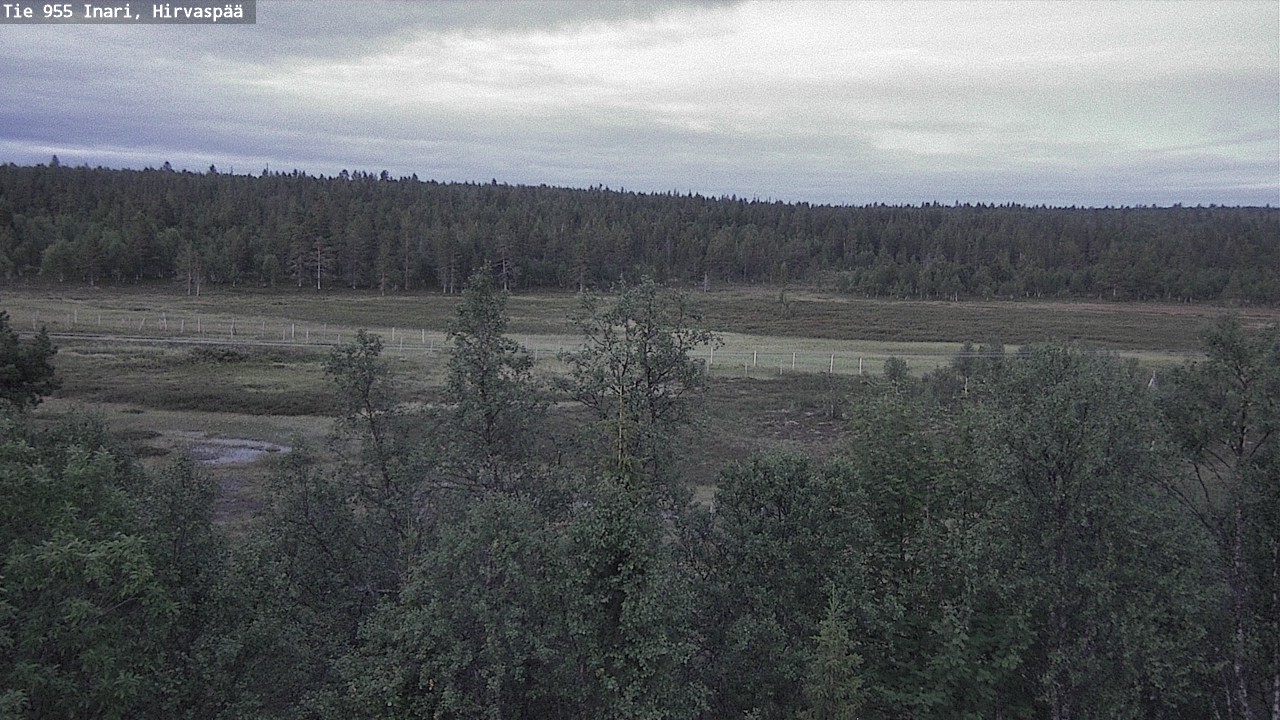 Kelikamerat Kuva Tie 955 Inari, Hirvaspää, Inari, Lappi