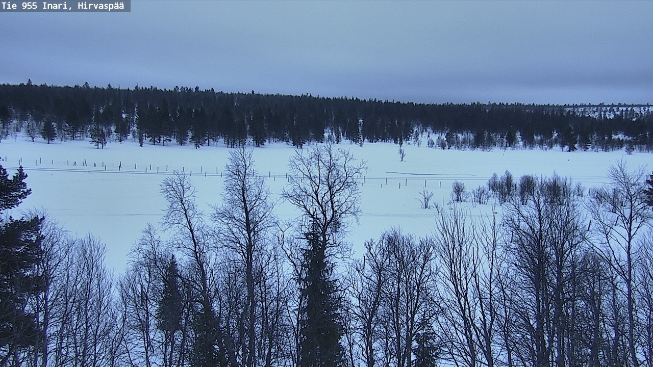 Kelikamerat Kuva Tie 955 Inari, Hirvaspää, Inari, Lappi