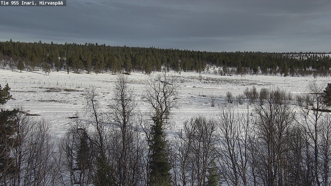 Weather Camera Image Väg 955 Enare, Hirvaspää, Inari, Lappi
