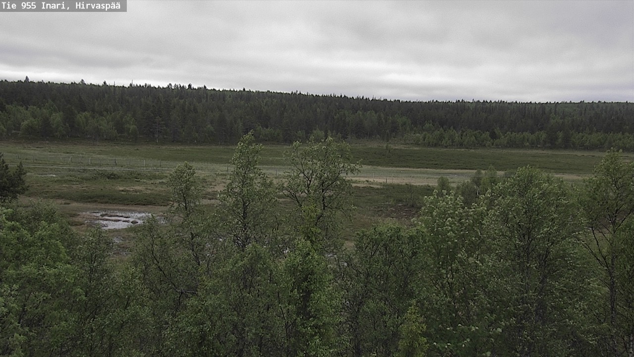Weather Camera Image Road 955 Inari, Hirvaspää, Inari, Lappi