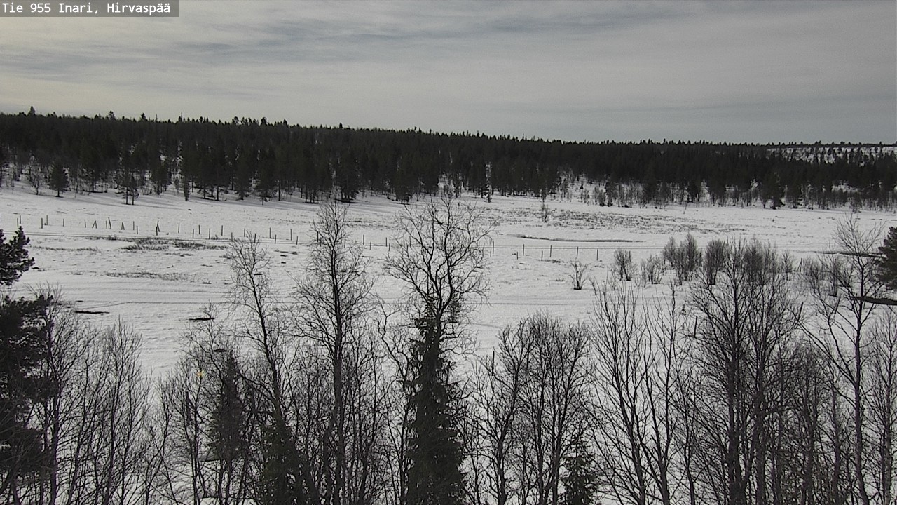 Weather Camera Image Väg 955 Enare, Hirvaspää, Inari, Lappi