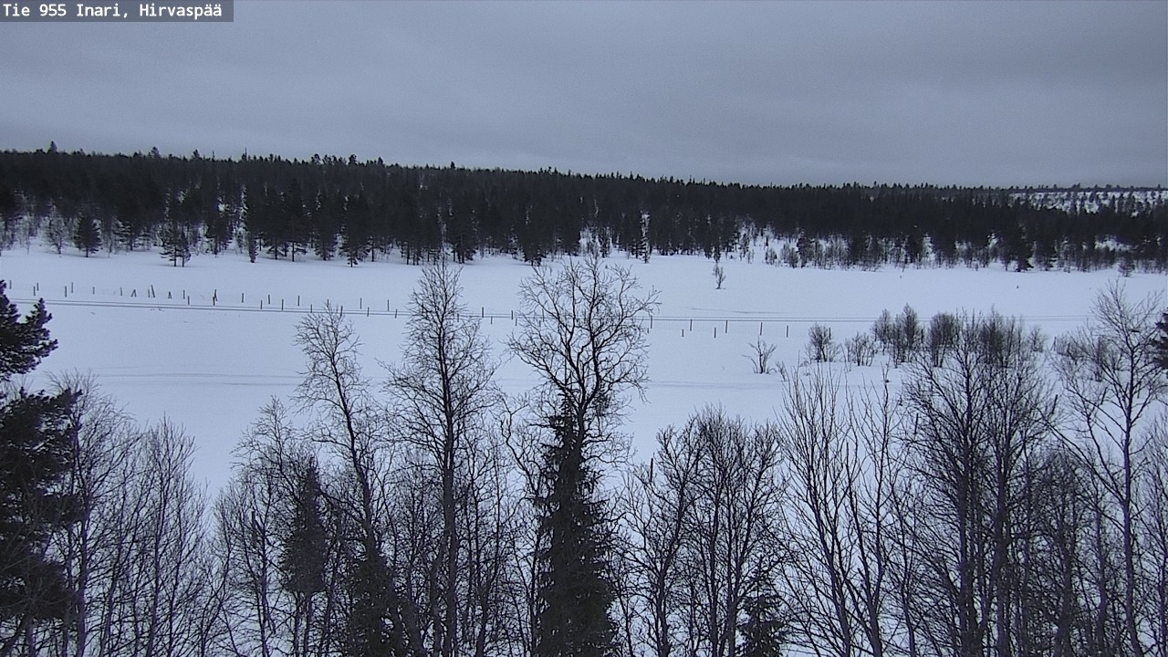 Kelikamerat Kuva Tie 955 Inari, Hirvaspää, Inari, Lappi