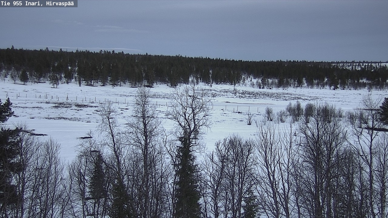 Weather Camera Image Road 955 Inari, Hirvaspää, Inari, Lappi
