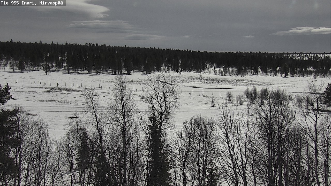 Weather Camera Image Väg 955 Enare, Hirvaspää, Inari, Lappi