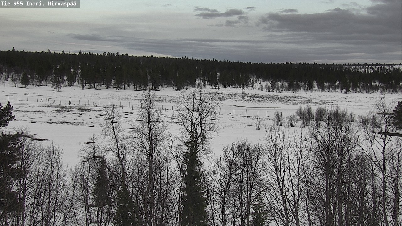 Weather Camera Image Väg 955 Enare, Hirvaspää, Inari, Lappi