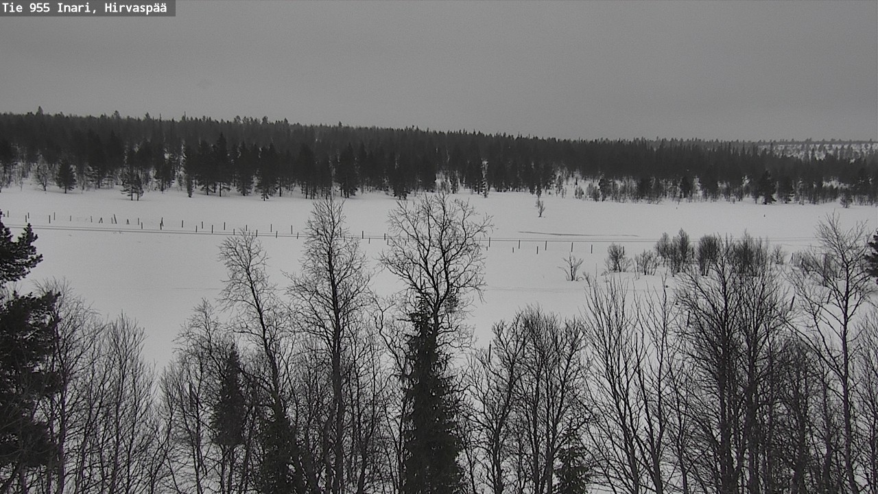 Kelikamerat Kuva Tie 955 Inari, Hirvaspää, Inari, Lappi