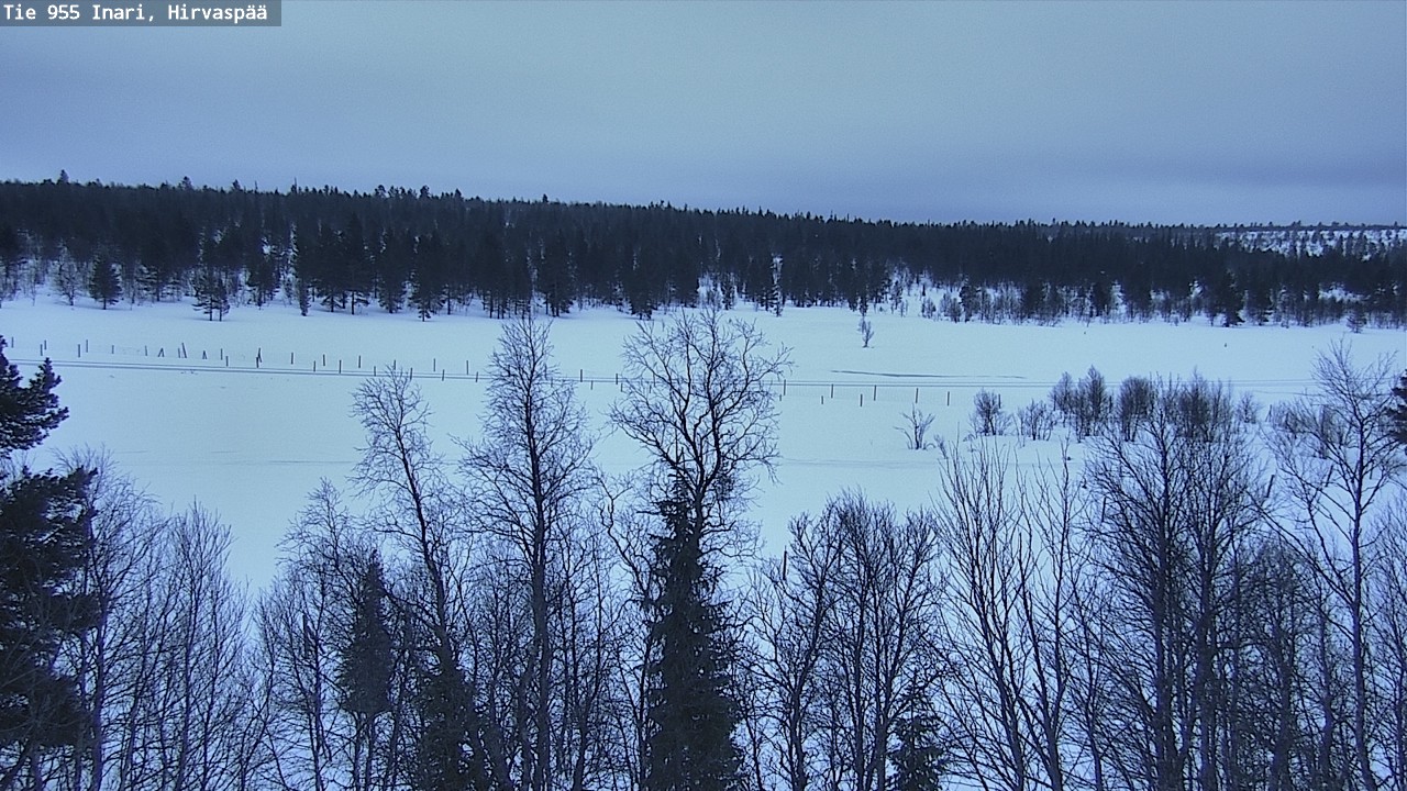 Kelikamerat Kuva Tie 955 Inari, Hirvaspää, Inari, Lappi