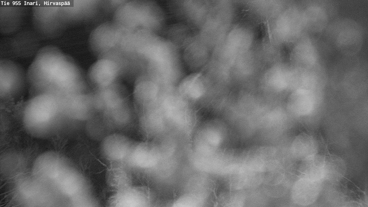 Weather Camera Image Road 955 Inari, Hirvaspää, Inari, Lappi