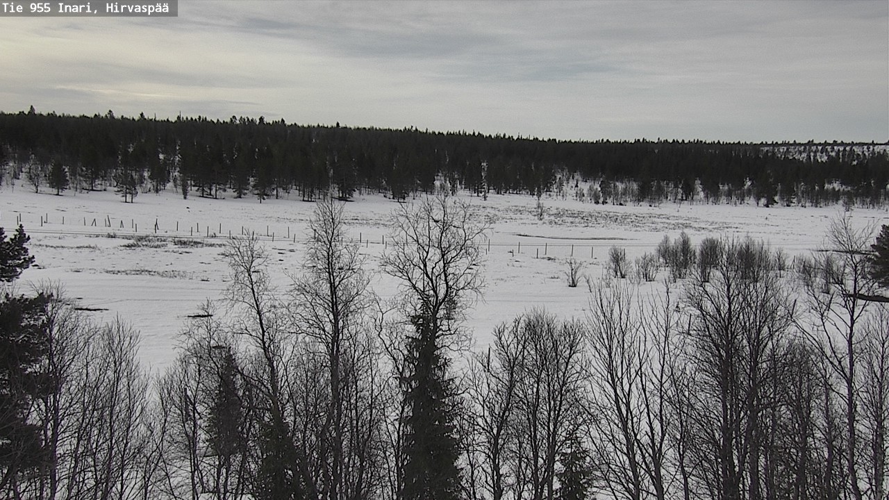 Weather Camera Image Väg 955 Enare, Hirvaspää, Inari, Lappi