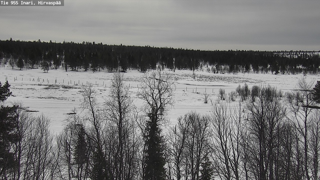 Weather Camera Image Väg 955 Enare, Hirvaspää, Inari, Lappi