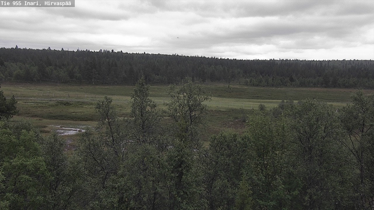Kelikamerat Kuva Tie 955 Inari, Hirvaspää, Inari, Lappi