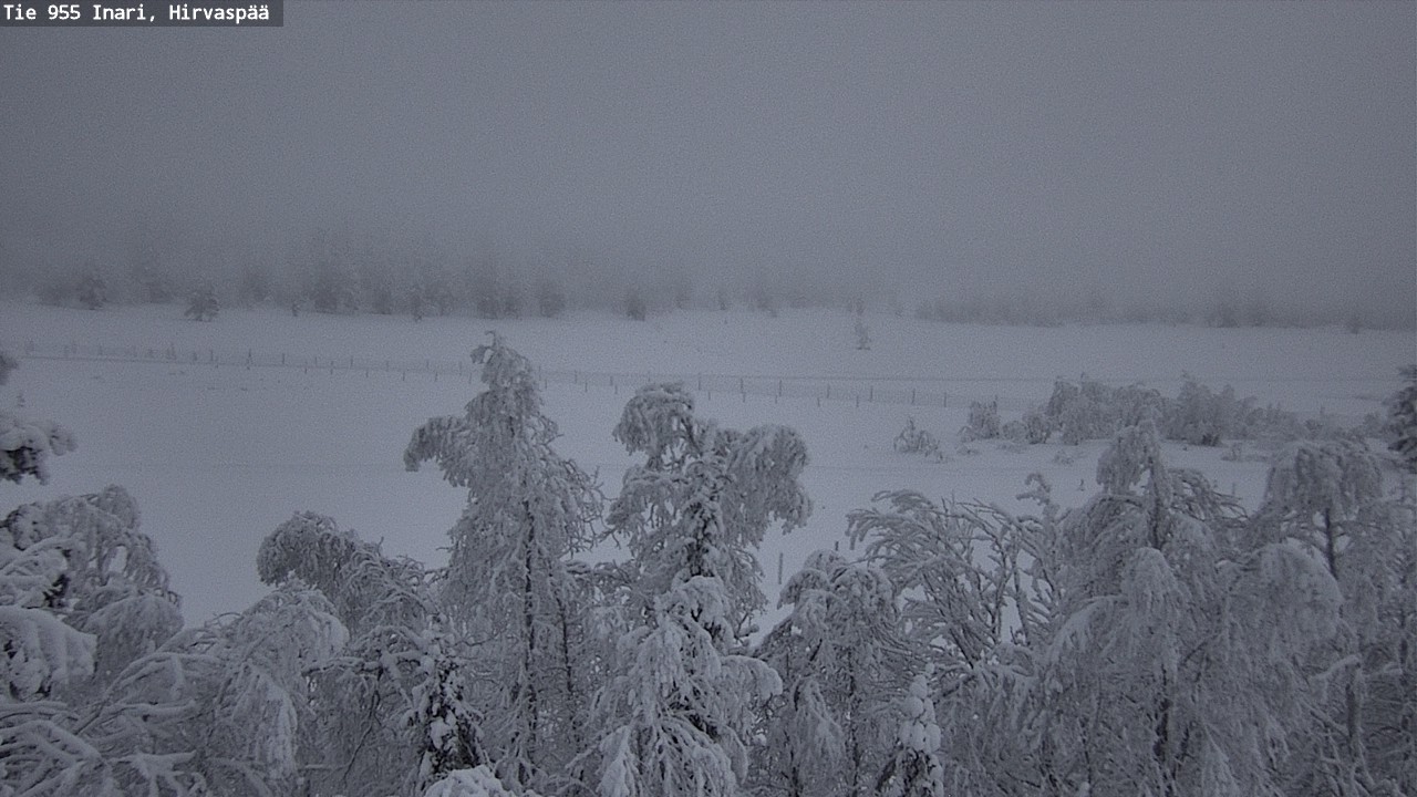 Kelikamerat Kuva Tie 955 Inari, Hirvaspää, Inari, Lappi