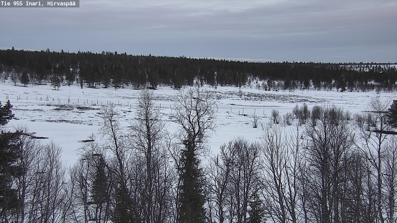 Weather Camera Image Väg 955 Enare, Hirvaspää, Inari, Lappi