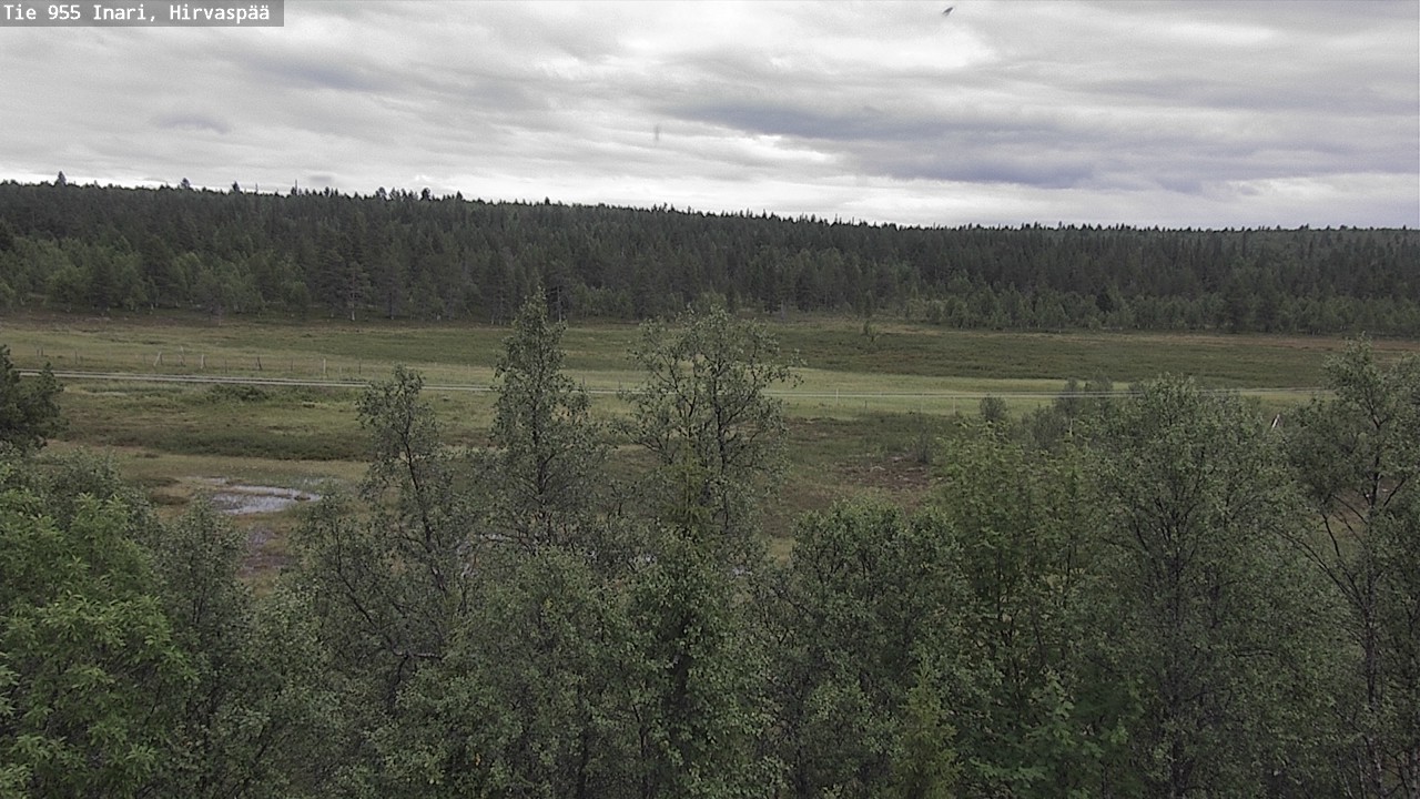 Kelikamerat Kuva Tie 955 Inari, Hirvaspää, Inari, Lappi