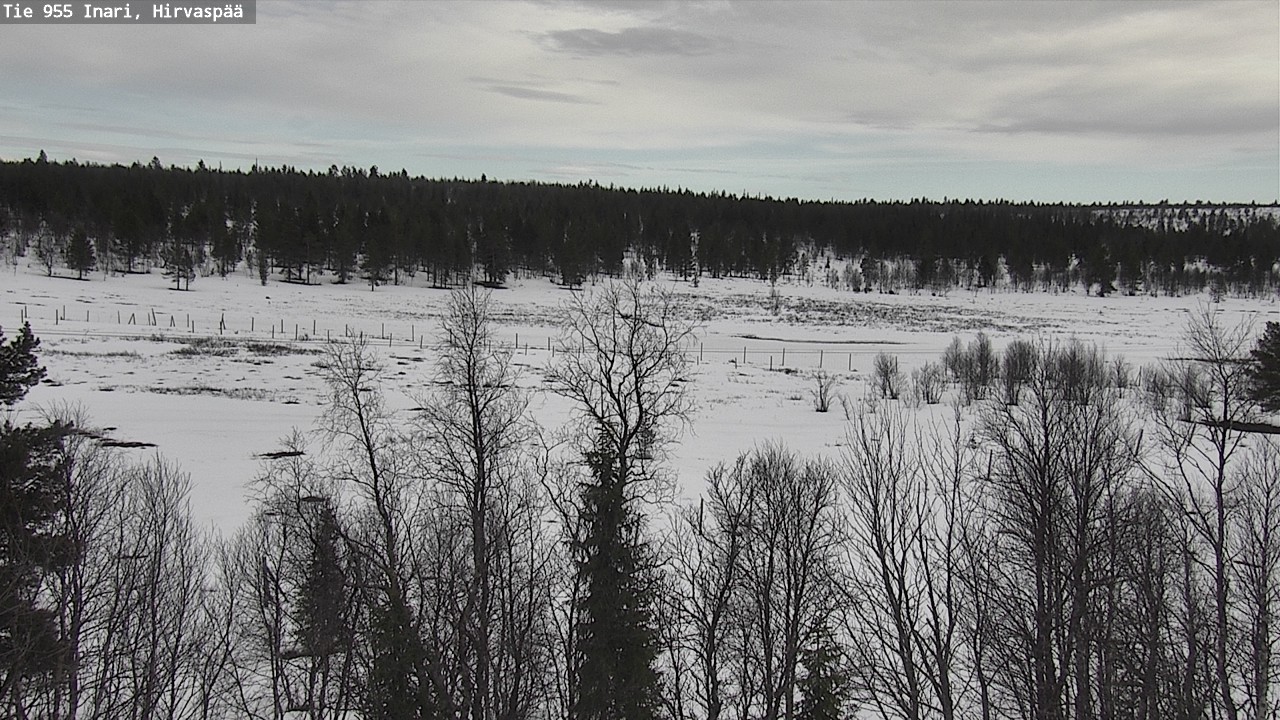 Weather Camera Image Väg 955 Enare, Hirvaspää, Inari, Lappi