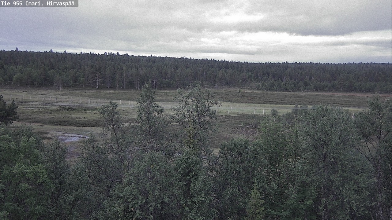 Kelikamerat Kuva Tie 955 Inari, Hirvaspää, Inari, Lappi