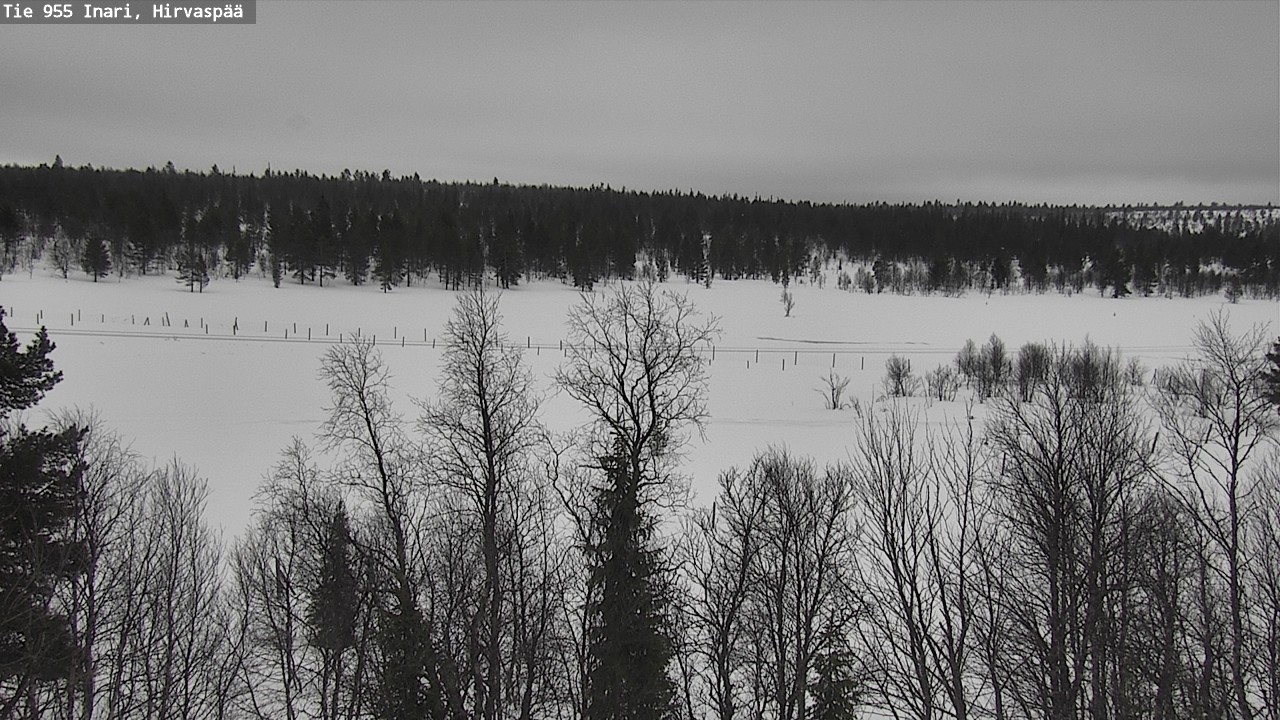 Weather Camera Image Road 955 Inari, Hirvaspää, Inari, Lappi