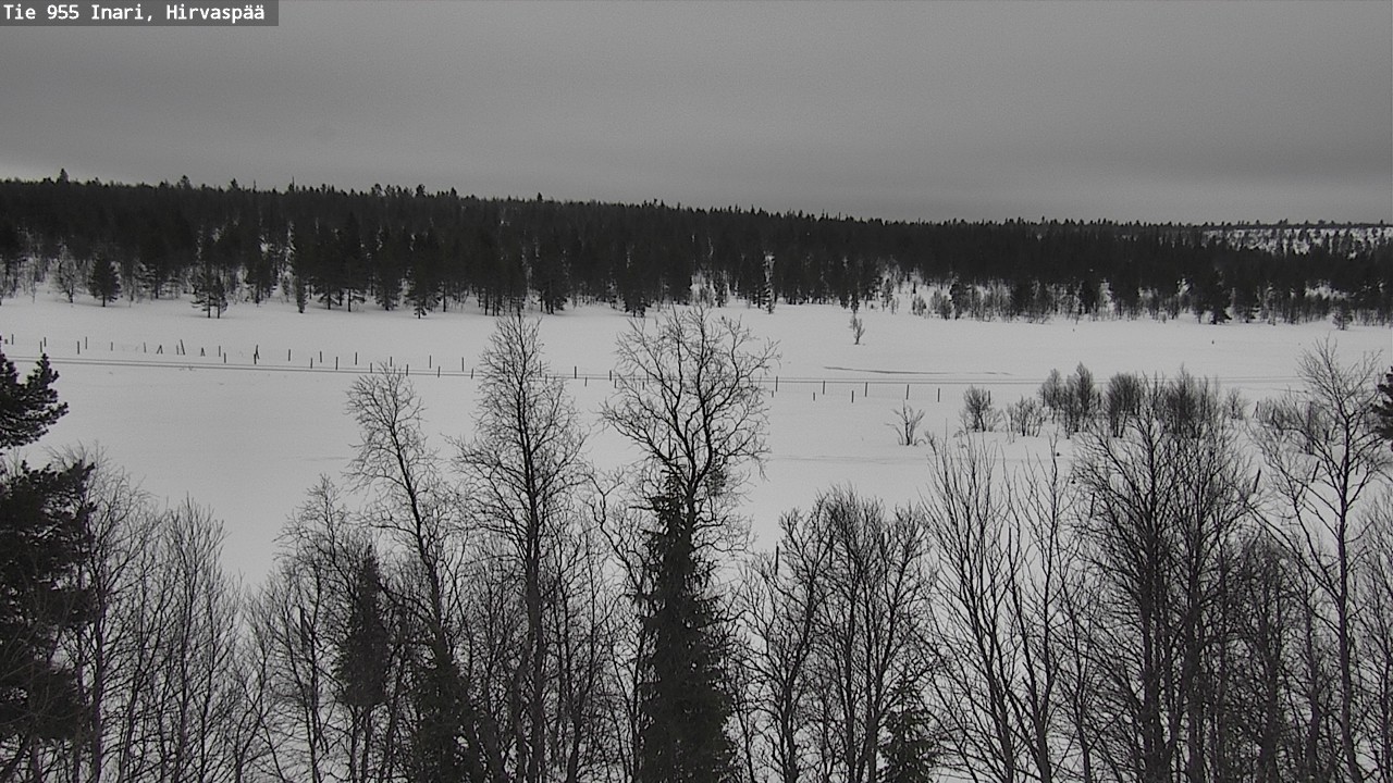Weather Camera Image Road 955 Inari, Hirvaspää, Inari, Lappi