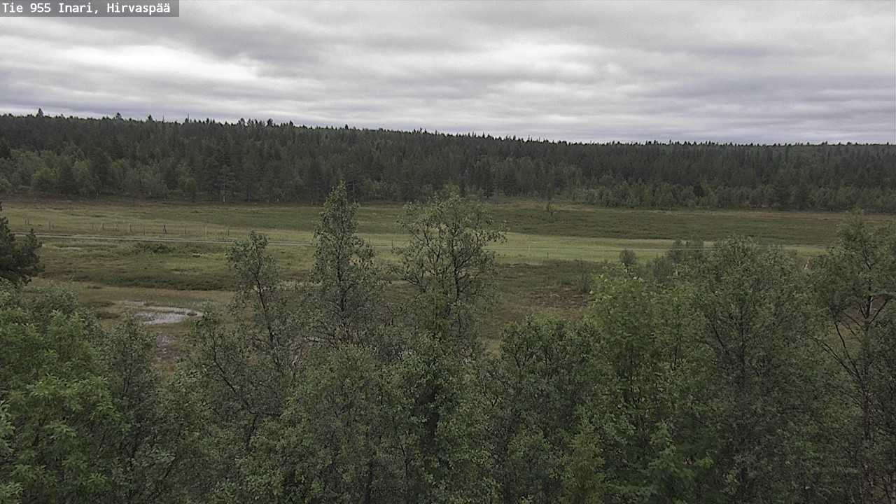 Kelikamerat Kuva Tie 955 Inari, Hirvaspää, Inari, Lappi