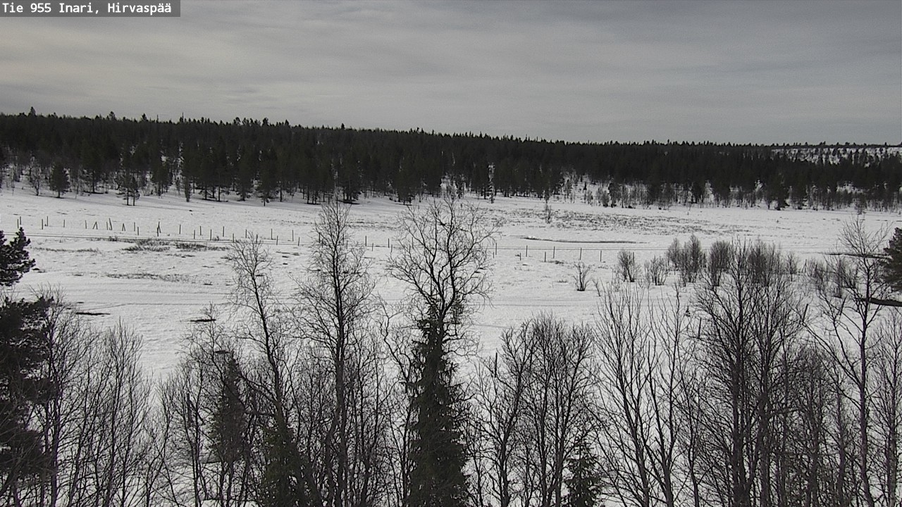 Weather Camera Image Väg 955 Enare, Hirvaspää, Inari, Lappi
