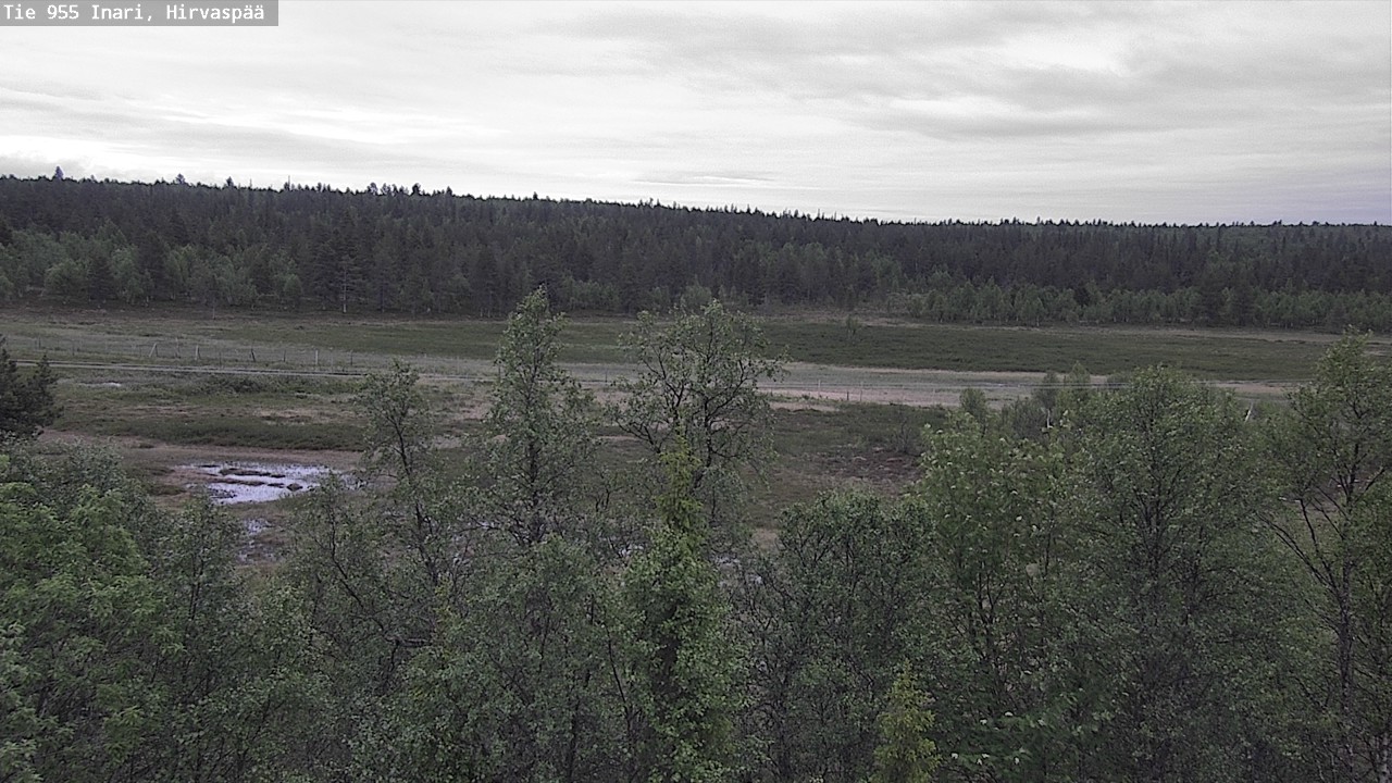 Kelikamerat Kuva Tie 955 Inari, Hirvaspää, Inari, Lappi