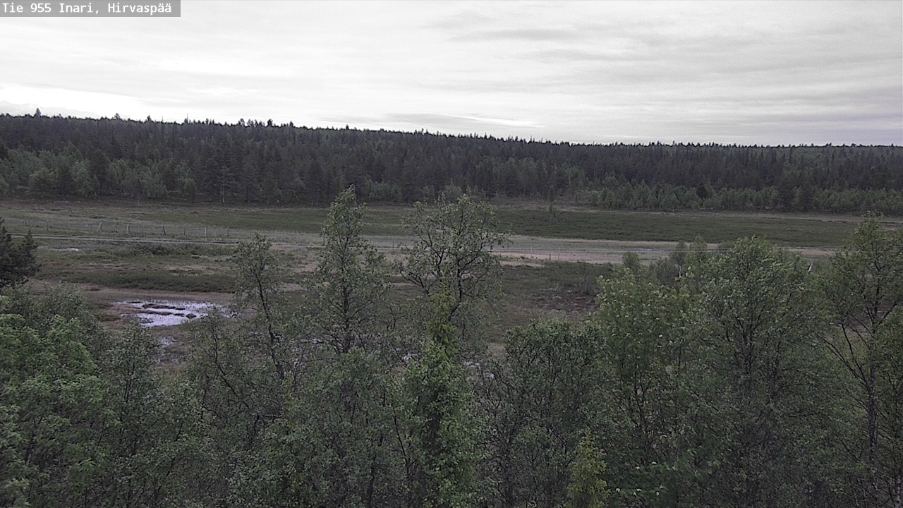 Kelikamerat Kuva Tie 955 Inari, Hirvaspää, Inari, Lappi