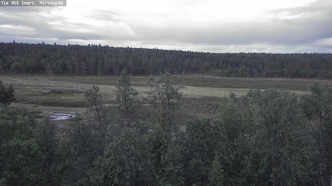 Kelikamerat Kuva Tie 955 Inari, Hirvaspää, Inari, Lappi