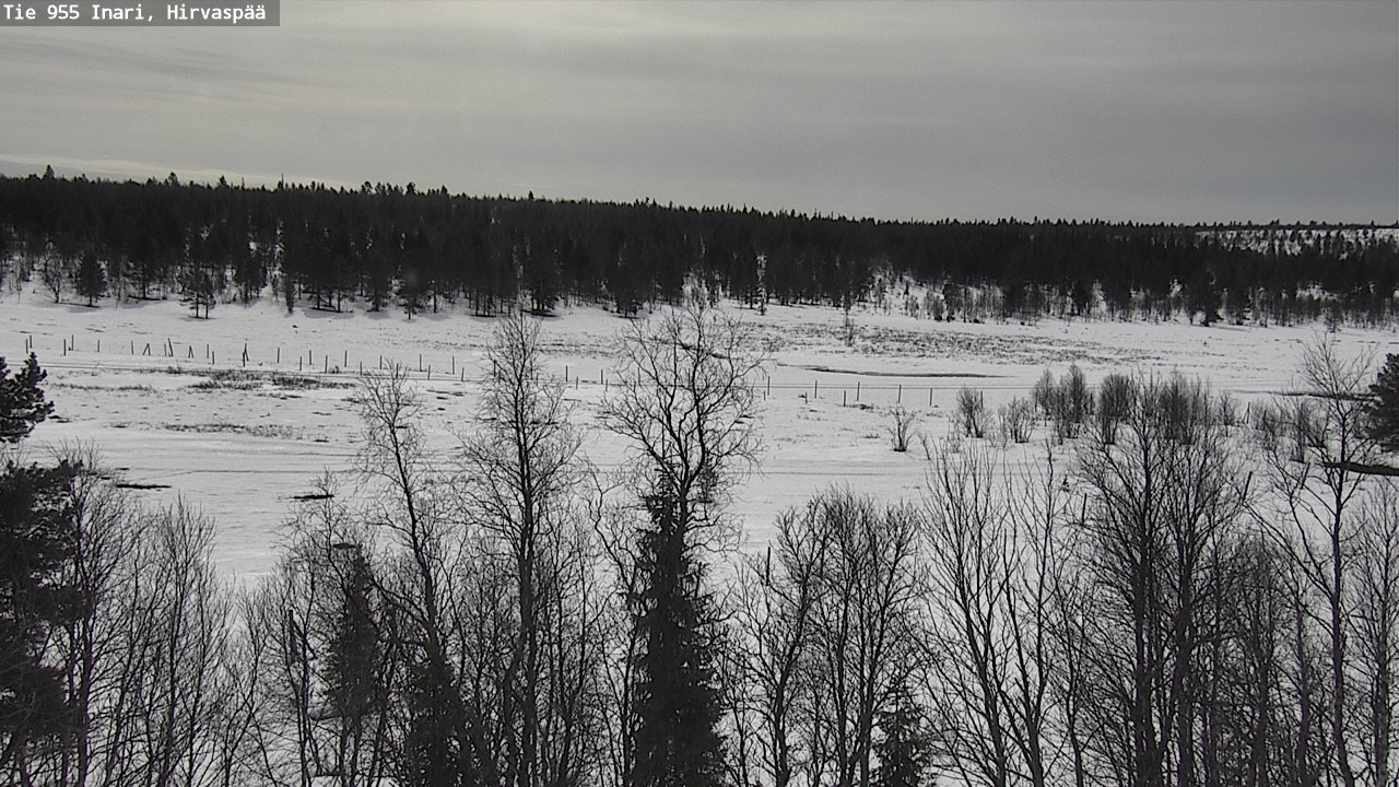 Weather Camera Image Väg 955 Enare, Hirvaspää, Inari, Lappi
