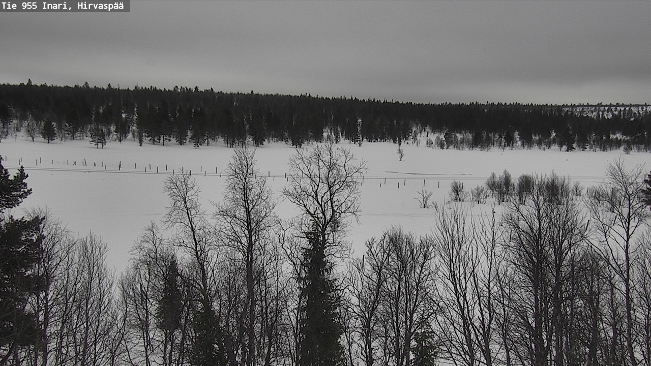 Weather Camera Image Road 955 Inari, Hirvaspää, Inari, Lappi