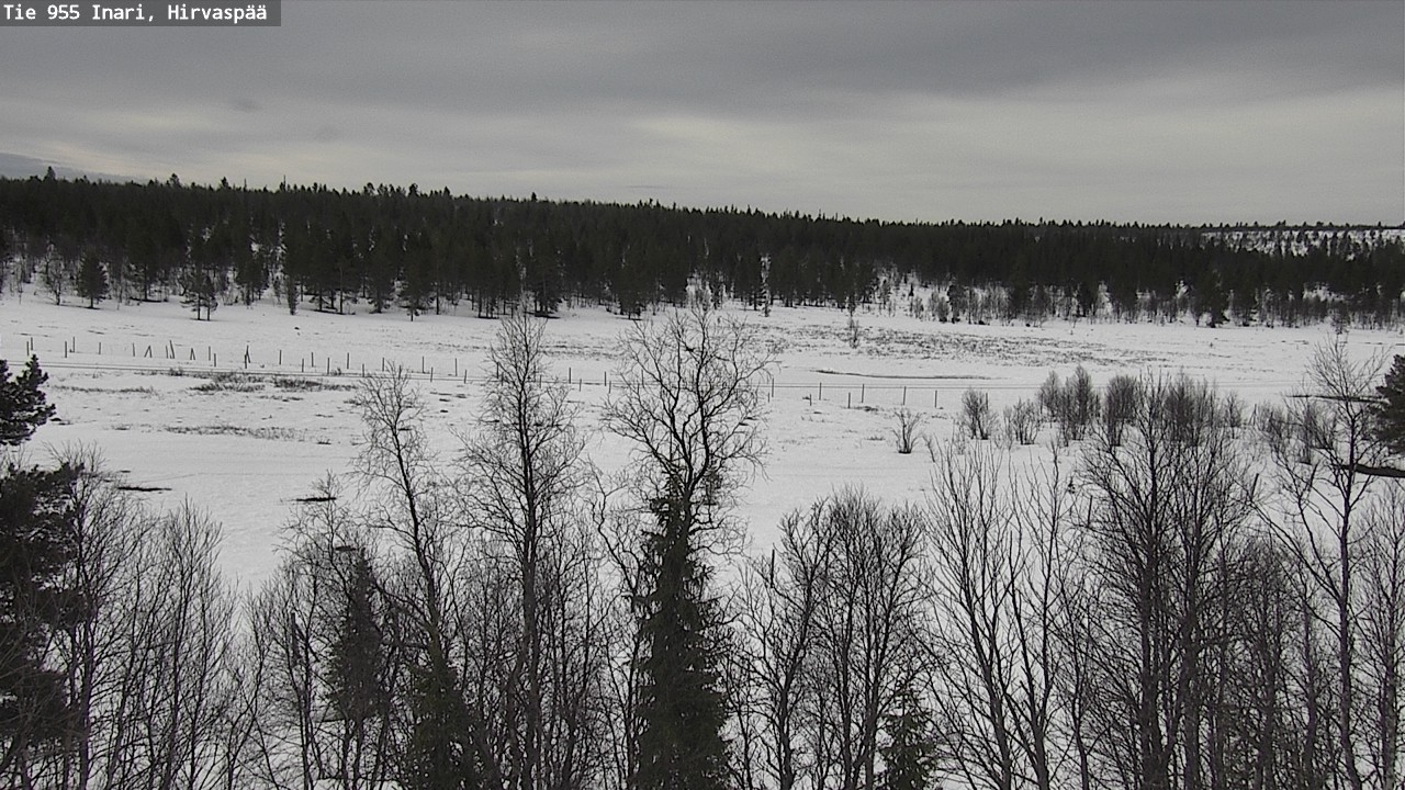 Weather Camera Image Väg 955 Enare, Hirvaspää, Inari, Lappi