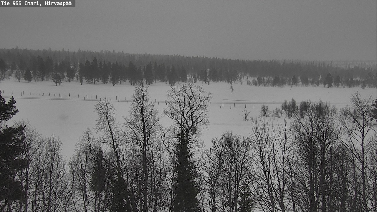 Kelikamerat Kuva Tie 955 Inari, Hirvaspää, Inari, Lappi