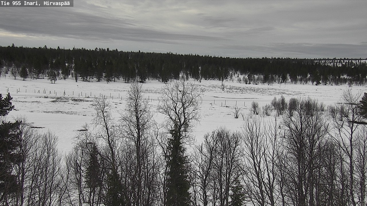 Weather Camera Image Väg 955 Enare, Hirvaspää, Inari, Lappi